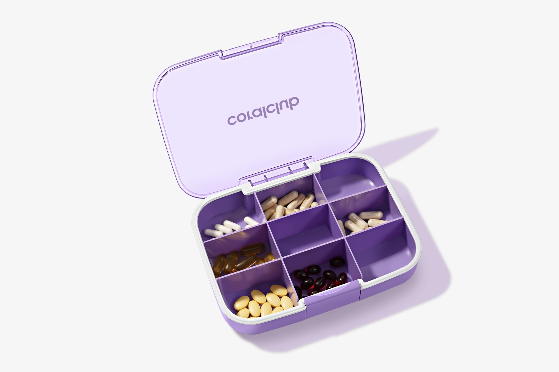 GoBox maxi, lavanda